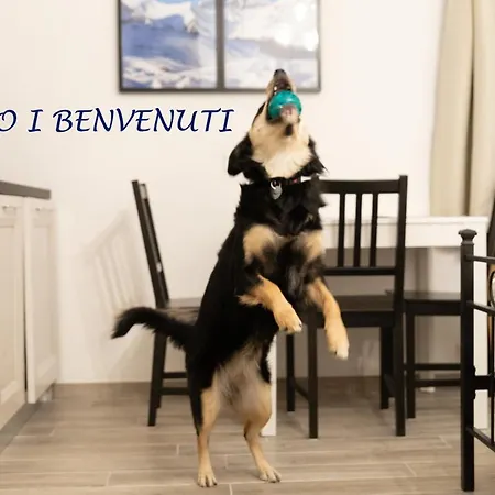 Appartamento Il Nocciolino *